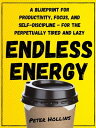 Endless Energy A Blueprint for Productivity, Focus, and Self-Discipline - for the Perpetually Tired and Lazy
