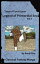 Legends of Primordial Sea Issue 5 International English EditionŻҽҡ[ Reed Riku ]