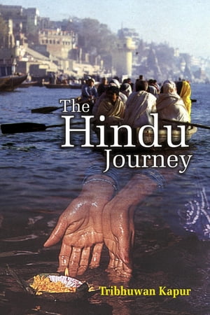 The Hindu Journey A Sociological Perspective