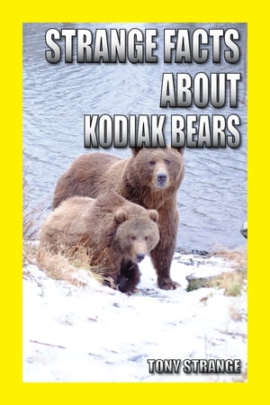 Strange Facts about Kodiak Bears