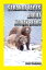 Strange Facts about Kodiak Bears