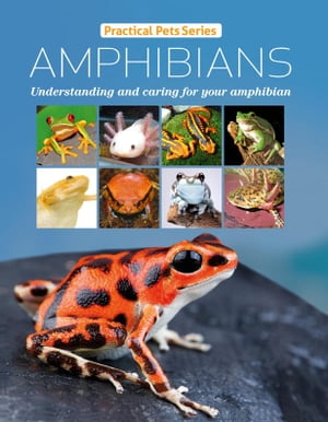 Amphibians