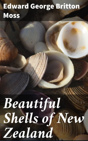 Beautiful Shells of New Zealand An Illustrated W