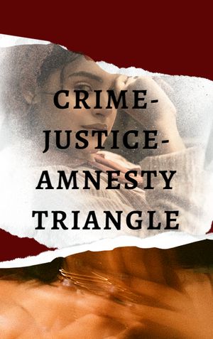 Crime-Justice-Amnesty Triangle