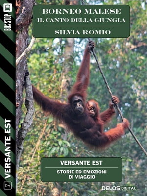 Borneo Malese - Il canto della giungla