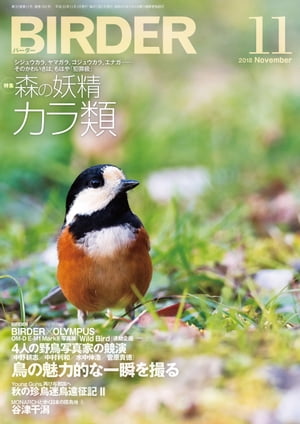 BIRDER2018年11月号