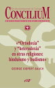 ŷKoboŻҽҥȥ㤨֢Ortodoxia y heterodoxia en otras religiones: hinduismo y budismo. Concilium 355 (2014 Concilium 355/ Art?culo 9 EPUBŻҽҡ[ George Gispert-Sauch ]פβǤʤ200ߤˤʤޤ