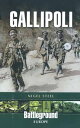 Gallipoli The Ottoman Campaign