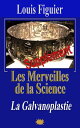 Les Merveilles de la science/Galvanoplastie et d?p?ts ?lectro-chimiques - Suppl?ment