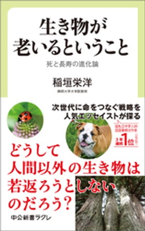 生き物が老いるということ　死と長寿の進化論