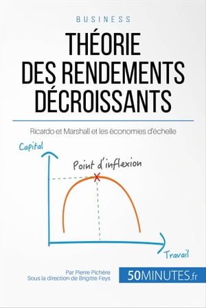 Théorie des rendements décroissants