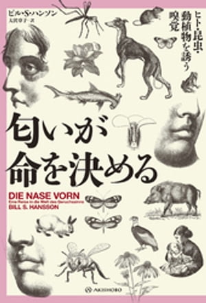 匂いが命を決めるーーヒト・昆虫・動植物を誘う嗅覚