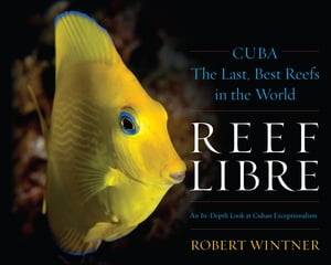 Reef Libre