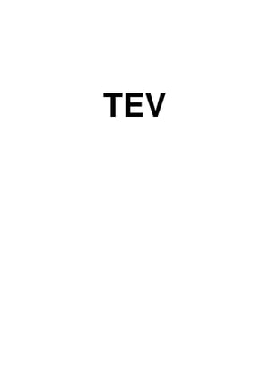 TEV A Double Barrelled Detective Story (Light q118)