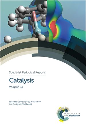 楽天楽天Kobo電子書籍ストアCatalysis Volume 31【電子書籍】