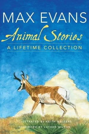 Animal Stories