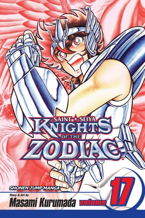 Knights of the Zodiac (Saint Seiya), Vol. 17