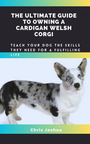 THE ULTIMATE GUIDE TO OWNING A CARDIGAN WELSH CORGI