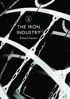 The Iron IndustryŻҽҡ[ Mr Richard Hayman ]