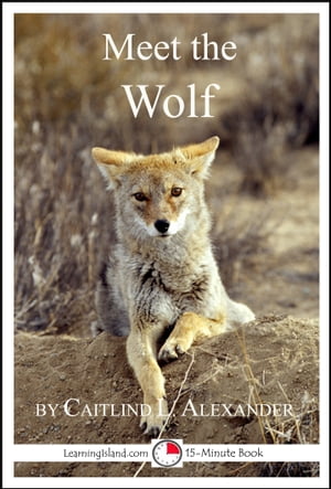 Meet the Wolf: A 15-Minute Book for Early ReadersŻҽҡ[ Caitlind L. Alexander ]