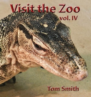 Visit the Zoo, vol. IV