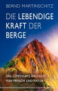 Die lebendige Kraft der Berge Das gemeinsame Wachsen von Mensch und Natur 電子書籍 Bernd Martinschitz 