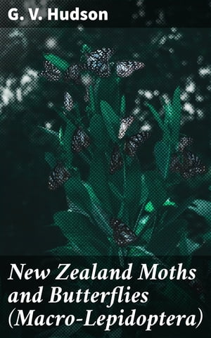 New Zealand Moths and Butterflies (Macro-Lepidop