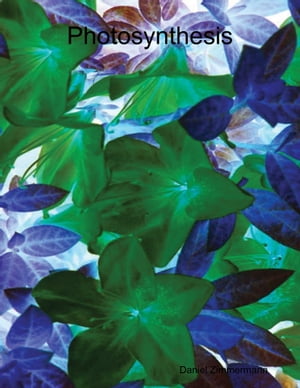 ŷKoboŻҽҥȥ㤨PhotosynthesisŻҽҡ[ Daniel Zimmermann ]פβǤʤ243ߤˤʤޤ