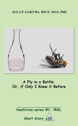 A Fly in a Bottle. Or, if Only I Knew it Before.