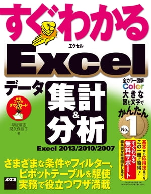 すぐわかる Excel データ集計&分析　Excel 2013/2010/2007