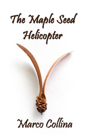 The Maple Seed Helicopter