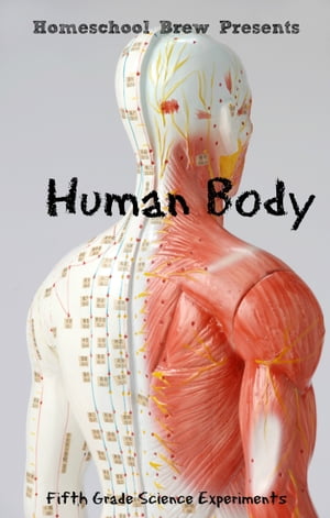 Human Body