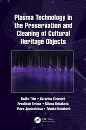 Plasma Technology in the Preservation and Cleaning of Cultural Heritage Objects