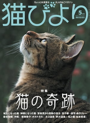 ＜p＞◎特集:猫の奇跡＜/p＞ ＜p＞・城主になった猫「さんじゅーろー」＜/p＞ ＜p＞・神様になった猫「オトラ」＜/p＞ ＜p＞・生きたい! 安楽死から奇跡の復活＜/p＞ ＜p＞・次々と子猫の命を救う猫助け犬「殿介」＜/p＞ ＜p＞・高千穂峡から繋がったいのちのリレー＜/p＞ ＜p＞・奇跡のモヒカン「つるきち」＜/p＞ ＜p＞・奇跡のショット!＜/p＞ ＜p＞◎私と猫「松本若菜」＜/p＞ ＜p＞◎岩合光昭の猫「沖縄」＜/p＞ ＜p＞◎世界の旅猫 ポルトガル(新美敬子)＜/p＞ ＜p＞◎必死すぎるネコ(沖昌之)＜/p＞ ＜p＞◎ネコ温泉「野沢温泉」＜/p＞ ＜p＞◎あの人と猫「マリーア・ジョゼ・デル・ベルジョ」＜/p＞画面が切り替わりますので、しばらくお待ち下さい。 ※ご購入は、楽天kobo商品ページからお願いします。※切り替わらない場合は、こちら をクリックして下さい。 ※このページからは注文できません。