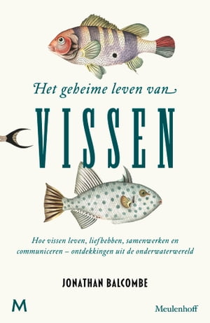 Het geheime leven van vissen