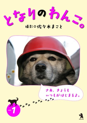 となりのわんこ。vol.1