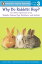 #8: Why Do Rabbits Hopβ