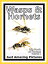 Just Wasp & Hornet Insect Photos! Big Book of Photographs & Pictures of Wasps & Hornets Insects, Vol. 1