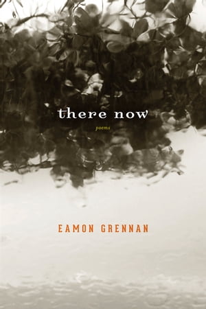 There Now PoemsŻҽҡ[ Eamon Grennan ]