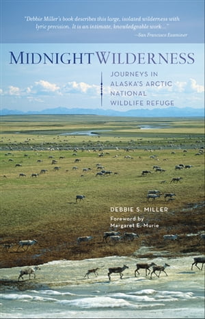 Midnight Wilderness