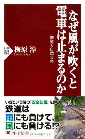 なぜ風が吹くと電車は止まるのか