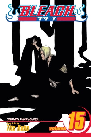 Bleach, Vol. 15