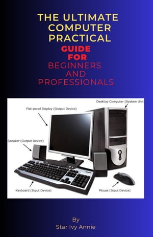 THE ULTIMATE COMPUTER PRACTICAL GUIDE FOR BEGINNERS AND PROFESSIONALS