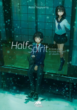 Half Spirit (novel) A Love Story Across the Veil of Death