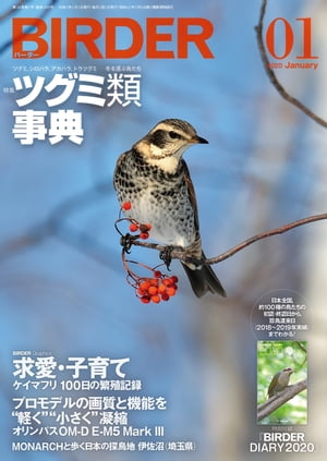 BIRDER2020年1月号