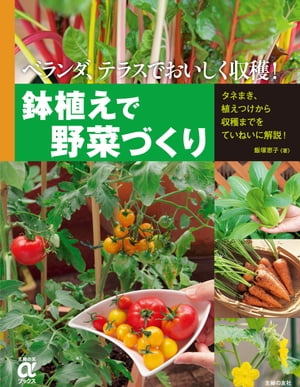 鉢植えで野菜づくり