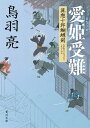 愛姫受難 流想十郎蝴蝶剣【電子書籍】 鳥羽 亮