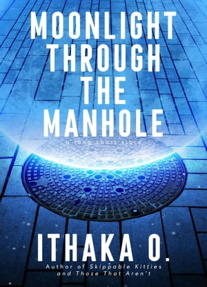 Moonlight Through the Manhole