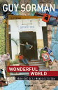 Wonderful world. Chronique de la mondialisation (2006-2009)