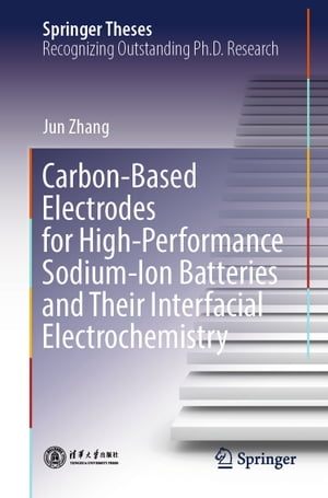 Carbon-Based Electrodes for High-Performance Sodium-Ion Batteries and Their Interfacial Electrochemistry